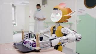 FACC400 Case Study 5 - The Ethics of AI