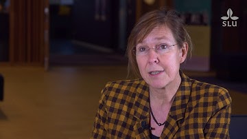 Lisa Diedrich – Professor of Landscape Architecture at SLU