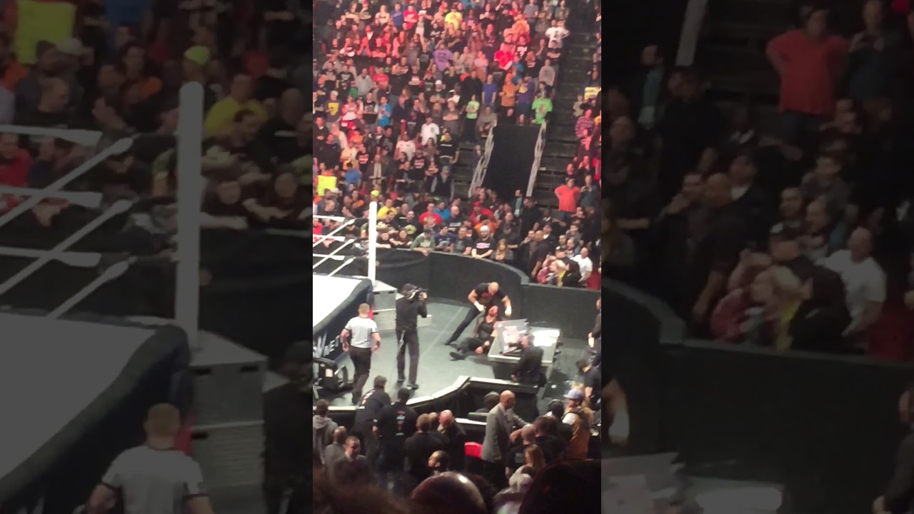 Roman reigns attacks triple h