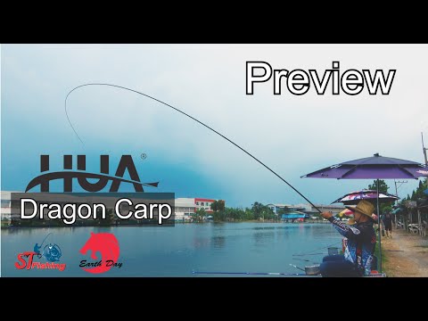 preview HUA ( 化氏 )Dragon Carp