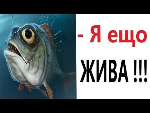 Приколы! КОГДА СЪЕЛ РЫБУ И ЗАПИЛ ВОДОЙ! Смешные видео от Доми шоу!