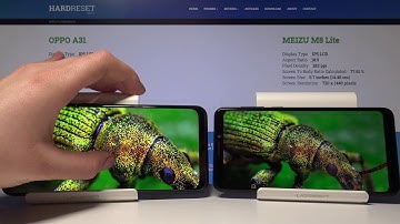 Display Comparison between MEIZU M8 Lite & OPPO A31 | Check Screen Quality