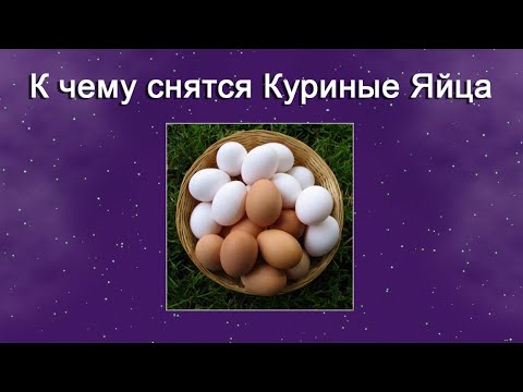 К чему снятся Куриные яйца – толкование сна по Соннику