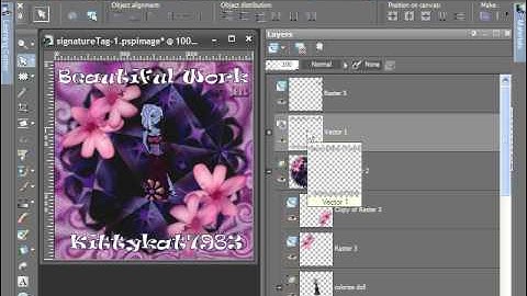Learn Paintshop Pro X by DVD or online at softwarevideo.com / grabtraining.com