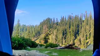 Masoom Jawani Pogli Song