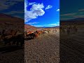 Dame nature #paysage #voyage #alpaga #montages #animauxsauvages