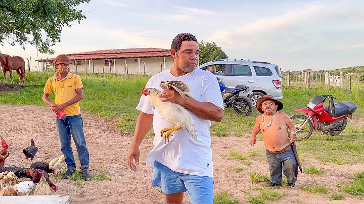 GALO CEGO ROUBA GALINHA DE ESTIMAÇÃO DE PILILIU | PILILIU DA RESENHA