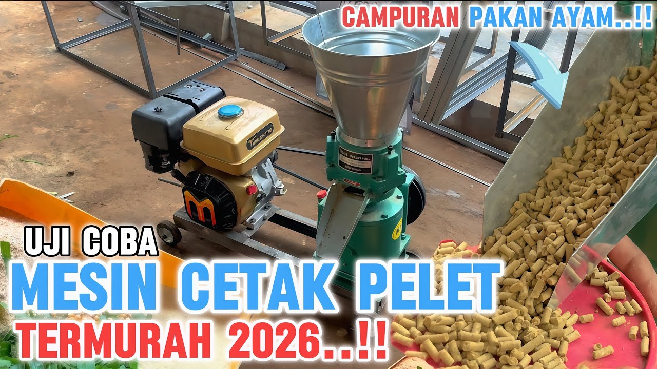 Seperti ini campuran pakan terbaik..!! MESIN CETAK PELET buat poer ayam..!! Pasti berhasil