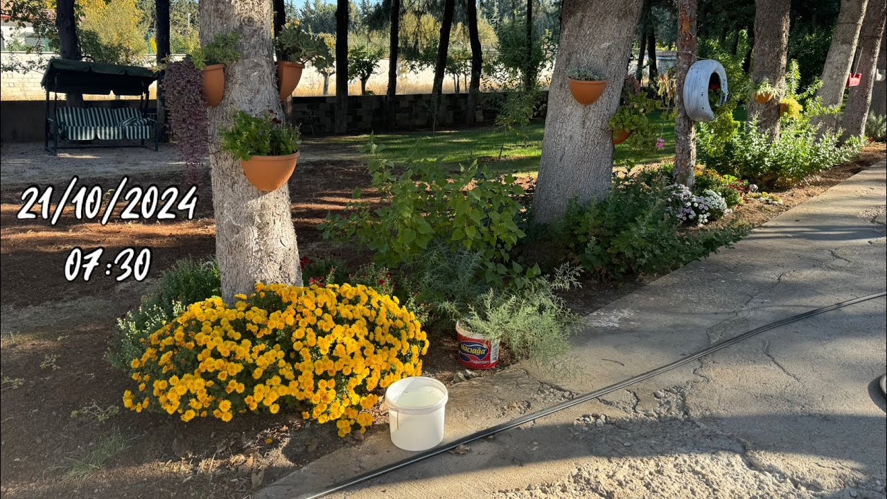 KIYMETLİ EŞİM RAHMETİ RAHMAN’A KAVUŞTU-Diktiği çiçekler ile avunuyorum🌹