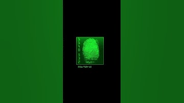 Achieving Unparalleled Proxy Performance: Smartproxy API and ClonBrowser in Action