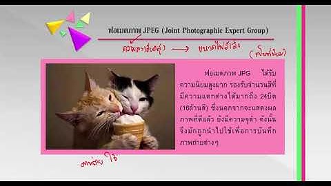 การใช้คำสั่งhtmlในการแทรกภาพ
