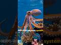 Octopus के 3 दिल 🤯और Blue Blood – and Tentacles ke Secret Nervous System!