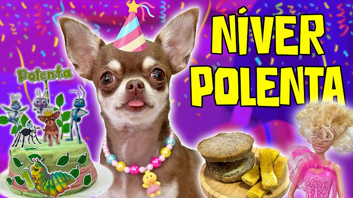 O ANIVERSÁRIO DE 1 ANO DA POLENTA 🎉