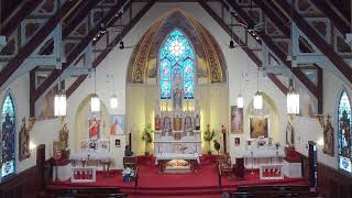 Our Lady of Ostrabrama: 9:30am Mass - 13th Sunday in Ordinary Time 6/28/2026
