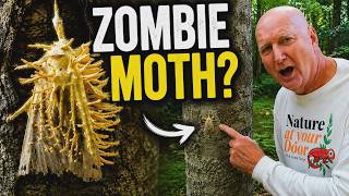 Nature's CREEPY but REAL zombie fungus!