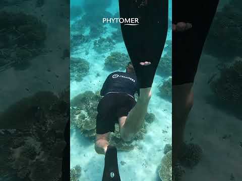 Inspired by the Ocean. Committed to Its Future.#skincare #phytomer #skincareroutine