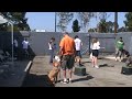 LOS ANGELES DOG TRAINING  |  Los Angeles dog trainers