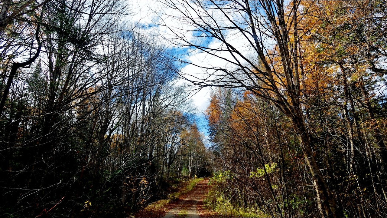 Bruine, tests, et chemin boueux