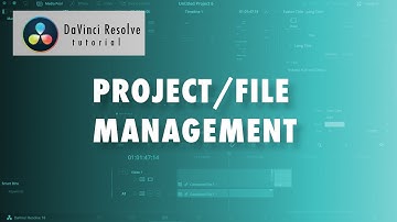 Project Management in DaVinci Resolve | Beginners Tutorial 2024