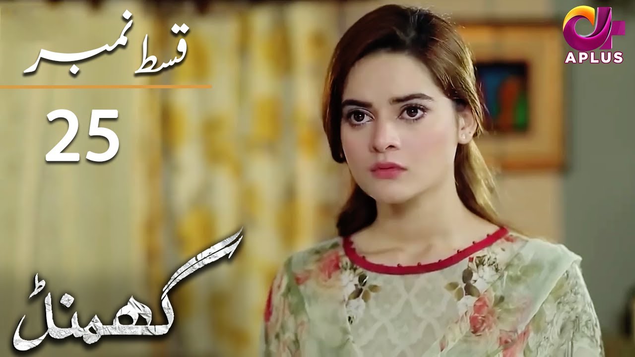 Thumbnail for Ghamand - Episode 25 | Aplus Dramas | Noman Ejaz, Sunita Marshall, Ashan | CG11 | Pakistani Drama