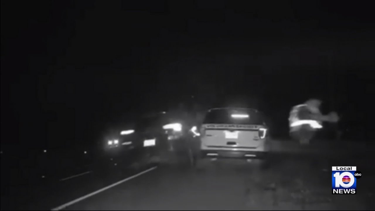 Video shows speeding car slam into stopped police vehicle in Volusia ...
