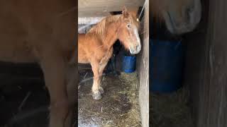 Full Herd Update