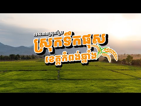 បោះតង់ មើលផ្កាយ ជាមួយស្នេហា ក្នុងតំបន់ថ្មក្រាល | Romantic Camping Trip at Thmor Kral