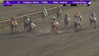 Vidéo de la course PMU PRIX SALVADORA Y GUARDIA DE PROPIEDAD