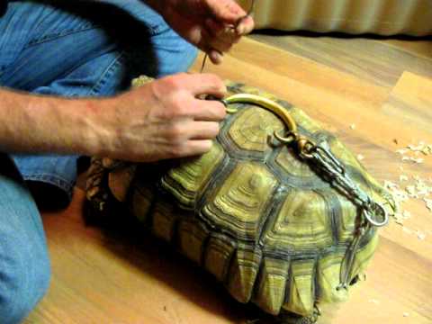 The Reptile Guy- Removing Metal harness that was installed ... wire harness table 