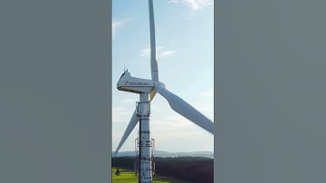 UAE & Germany Green Energy partnership: Who Wins in This Billion Dollar Deal? | Clean Energy 2050 |