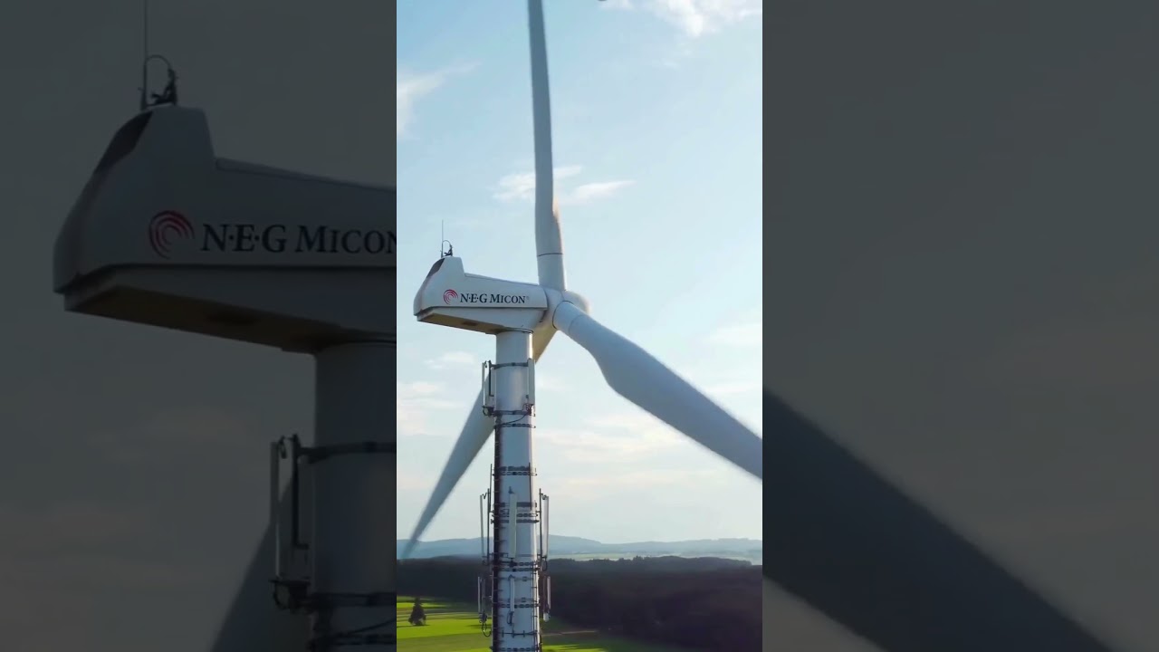 UAE & Germany Green Energy partnership: Who Wins in This Billion Dollar Deal? | Clean Energy 2050 |