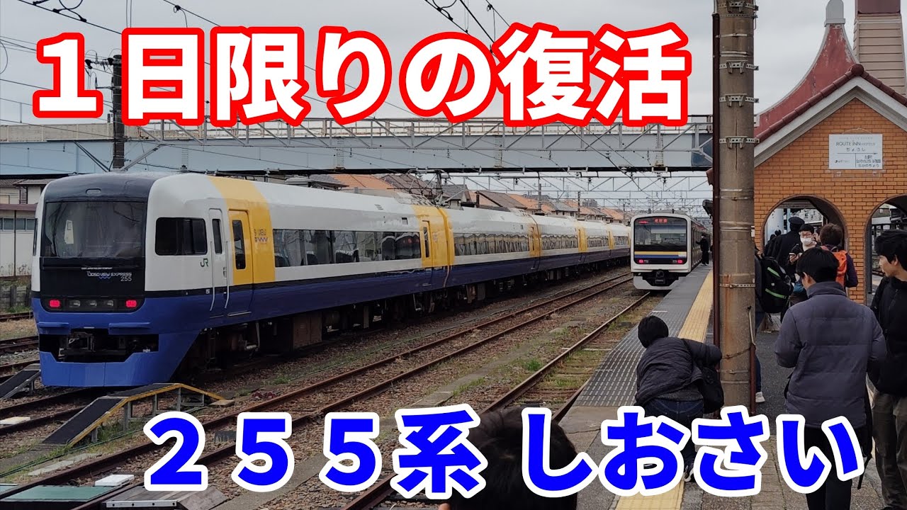 1日限りの復活】255系で運転される特急しおさい50号に乗ってみた