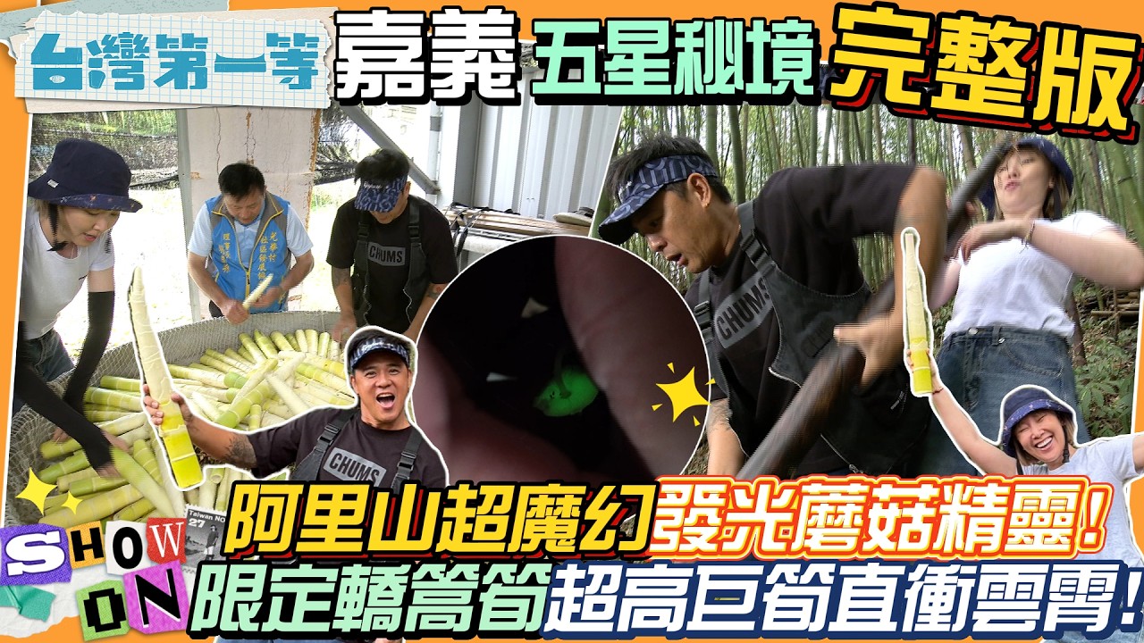 [全新] 嘉義【五星級阿里山 夜探會發光的"魔菇"精靈! 尋找樹梢間滑翔的神秘住客 / 阿里山限定轎篙筍! 一人高的超大竹筍 採收有學問】│2026.07.12│《台灣第一等》完整版