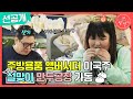 [전지적 참견 시점 선공개] 주방용품 홍보대사 이국주?! 설맞이 만두공장 풀가동🥟, MBC 240210 방송