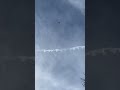 Germanjet Alphajet #military #german #jet #alphajet