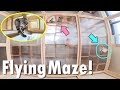 DIY Flying cat maze! Looking up at cat paw