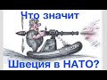 Что значит Швеция в НАТО? Шведы могут повторить Роченсальм? Лекция историка Александра Палия