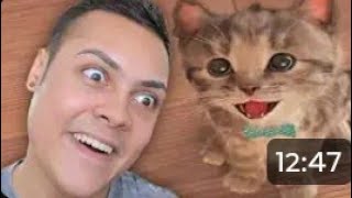 PLAYING KITTEN GAMES (WARNING SO CUTE !!! 🐱) screenshot 2