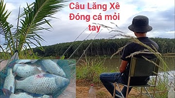 Câu lancer sông - Mồi câu lăng xê đơn giản và hiệu quả mùa đông