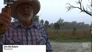We'll be able to enjoy Christmas: Joy with rainfall in Calliope, Qld