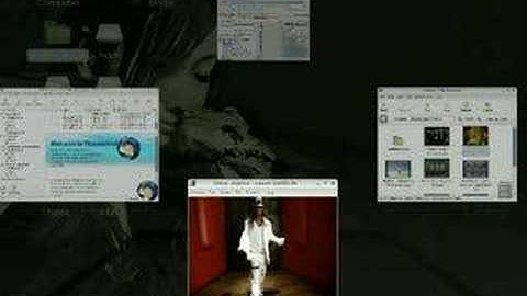 Compiz Fusion on Linux Mint