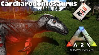 ARK Carcharodontosaurus Gameplay - (Mod vs Official Comparison)