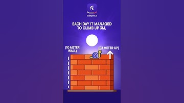 Slow and steady wins the race! But how long will it take this snail to reach the top?