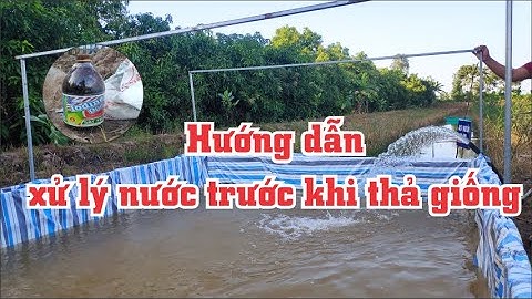 Hướng dẫn chi tiết XỬ LÝ NƯỚC để chuẩn bị nuôi ốc trên bể bạt🙂
