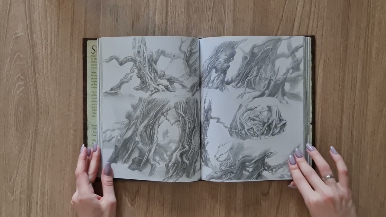 洋書　ホビット　スケッチブック　アラン・リー　サイン入り The Hobbit Sketchbook by Alan Lee - YouTube