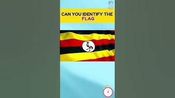 Identify the Country by Its National Flag #shortsfeed