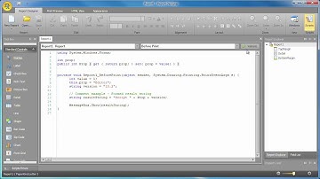 WinForms Reporting - Script Editor Improvements in v2010 Vol2