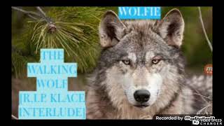 WOLFIE - WOLF PACK WOLF WAR [CHOPPED + SCREWED]