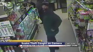 Celebrity Caught on camera;suspects steal $600 snake Profile