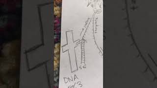 GN311 Exam 4 Mini Video